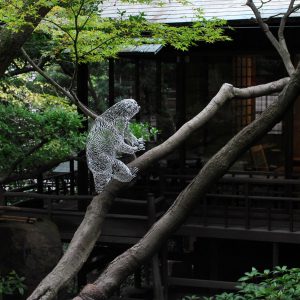 橋 寛憲