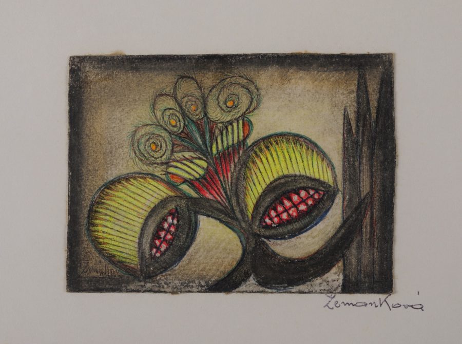 アナ・ゼマンコヴァ