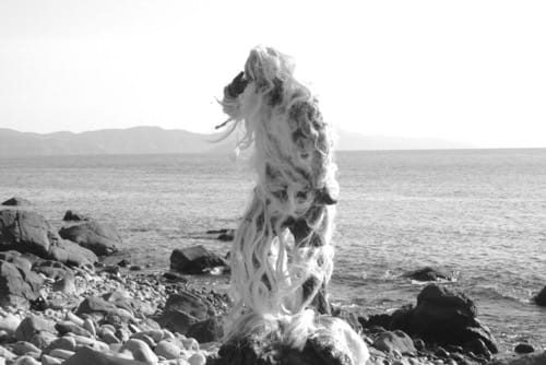 Expanded Cafe Talk (Japanese only)