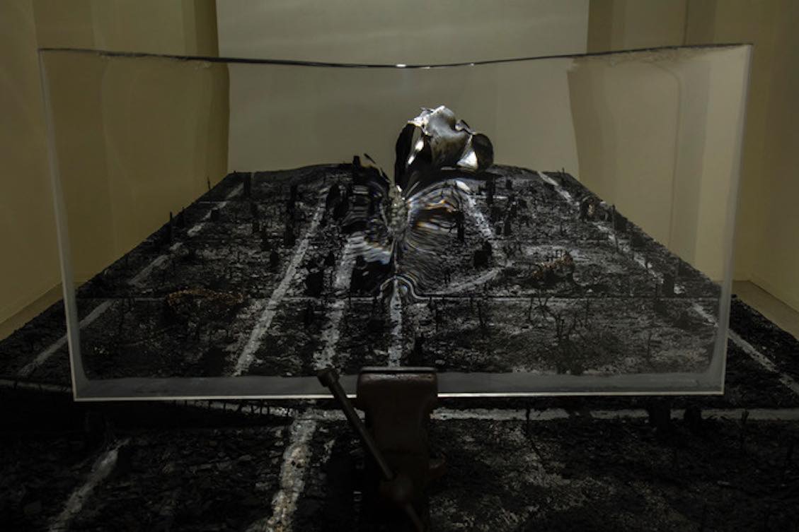 西澤利高 “はじめての距離” | Expanded Section | ART OSAKA 2024