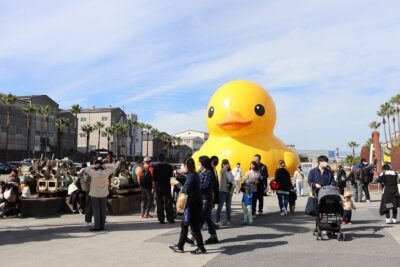 【北加賀屋】ラバー・ダック特別展示