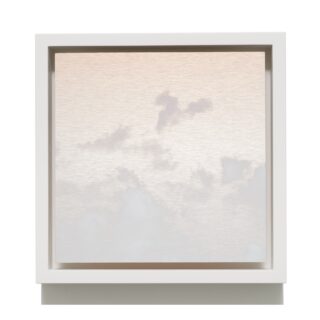 ミヤ・アンドウ